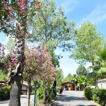 Campsite Les Salisses - Maeva